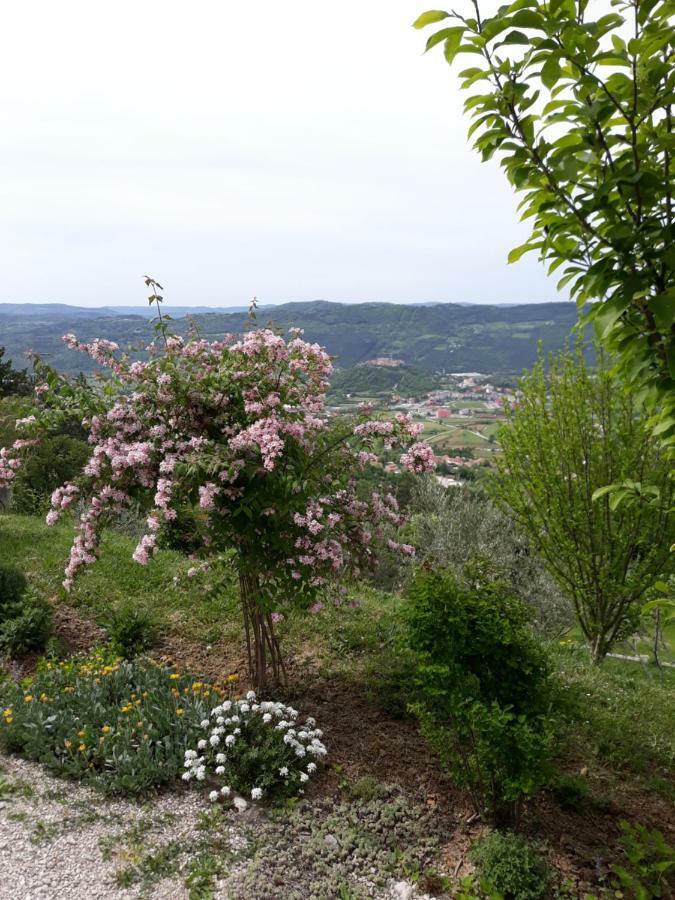 Apartment Finderli Buzet Dış mekan fotoğraf